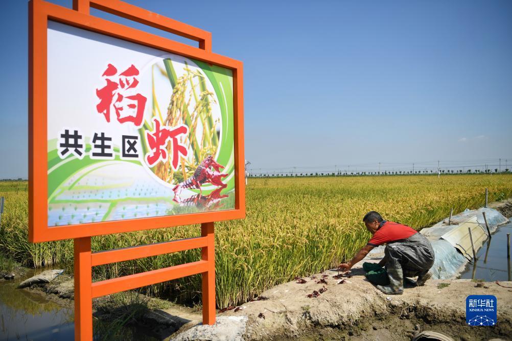 威尼娱乐
